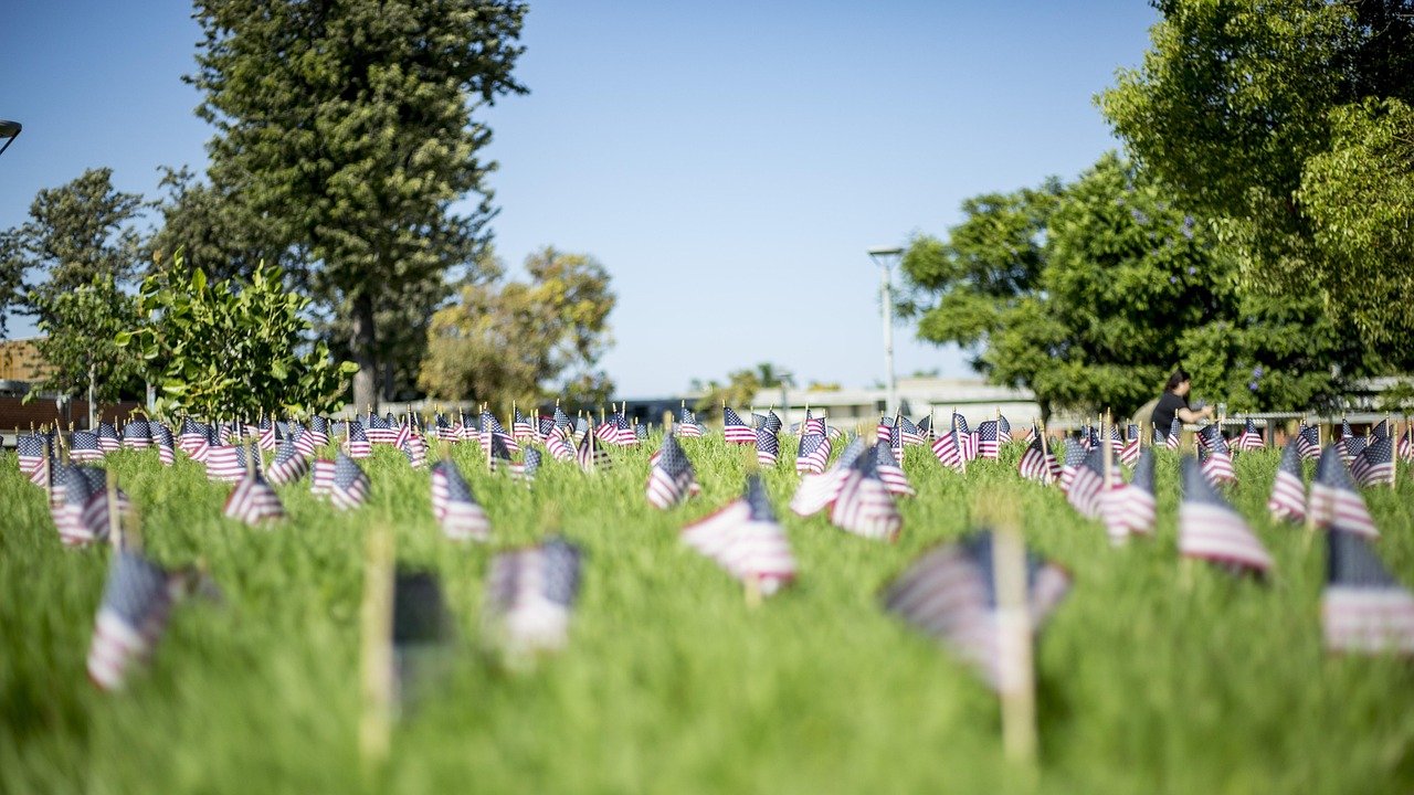 flags, grass, american, nature, patriotism, 9-11, 9 11, 9, 11, september